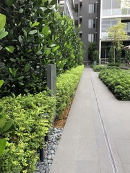 Robin Residences (D10), Condominium #165454692
